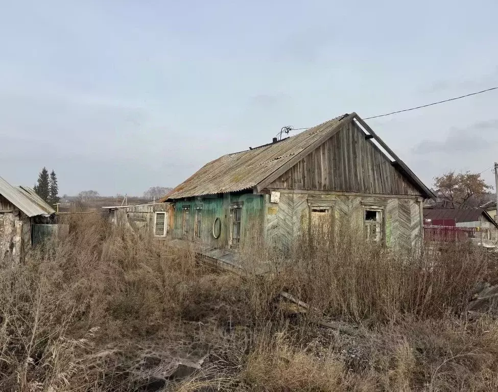 Участок в Челябинская область, Пласт ул. Чехова (13.0 сот.) - Фото 1
