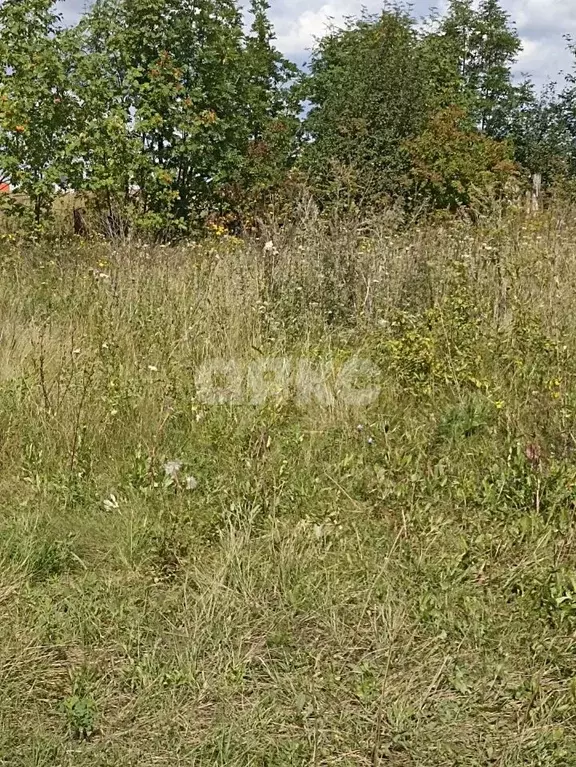Участок в Липецкая область, Липецкий муниципальный округ, с. Ленино ... - Фото 2