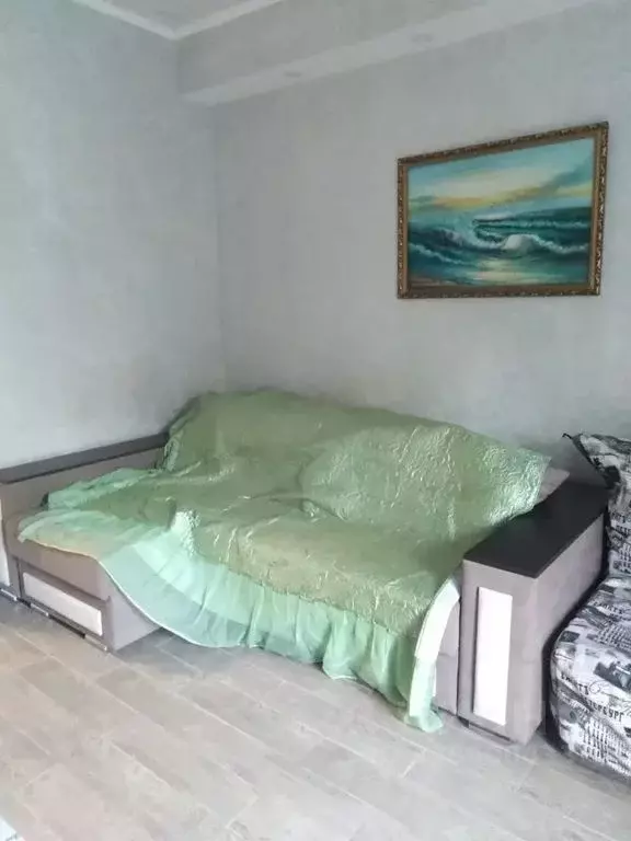 1-к кв. Севастополь с. Орловка, ш. Качинское, 33Б/1 (20.0 м) - Фото 0