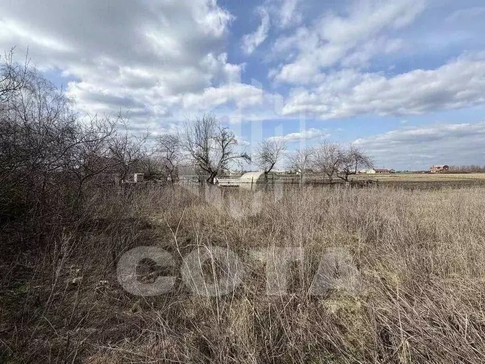 Участок в Воронежская область, Каширский район, Боевское с/пос, с. ... - Фото 2