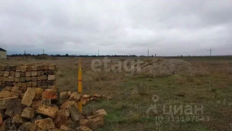 Участок в Крым, Сакский район, с. Лесновка ул. Тополиная (10.0 сот.) - Фото 1