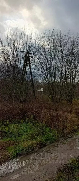 Участок в Калининградская область, Зеленоградский муниципальный округ, ... - Фото 2