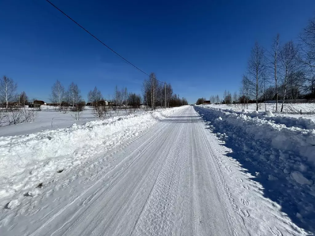 Участок в Владимирская область, Александровский район, Андреевское ... - Фото 1