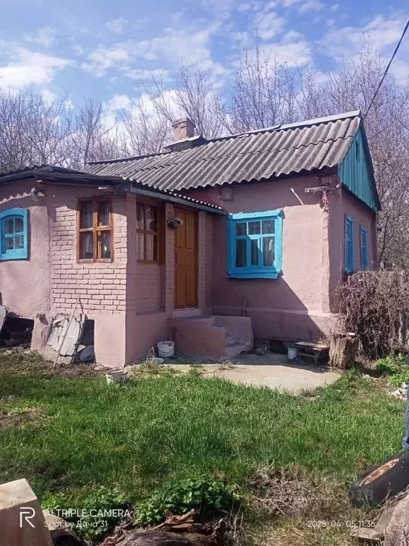 Дом в Белгородская область, Яковлевский муниципальный округ, с. Шопино ... - Фото 1