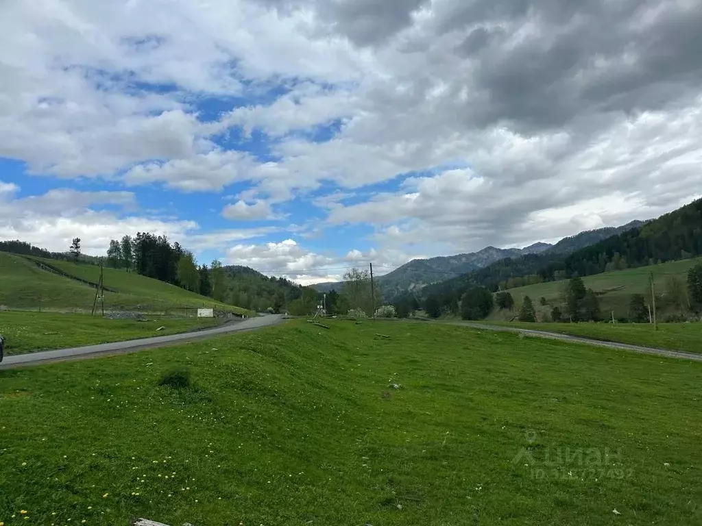 Участок в Алтай, Чемальский район, Узнезинское с/пос, с. Узнезя  (11.0 ... - Фото 0