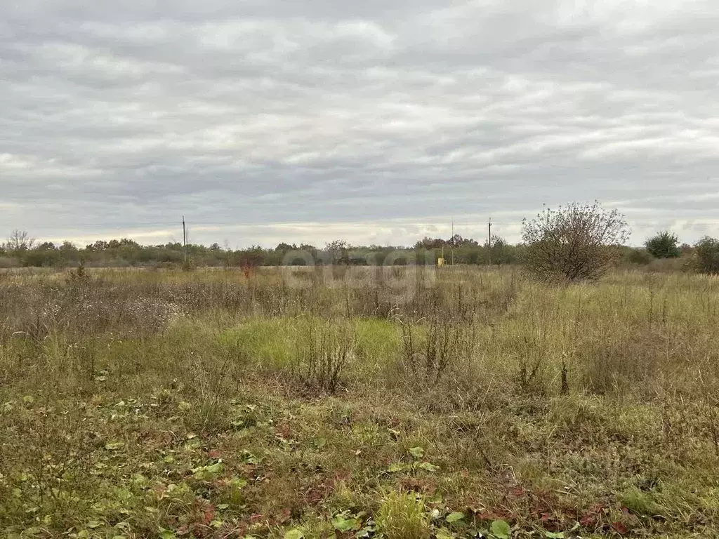 Дом в Белгородская область, Прохоровский район, Журавское с/пос, ... - Фото 2
