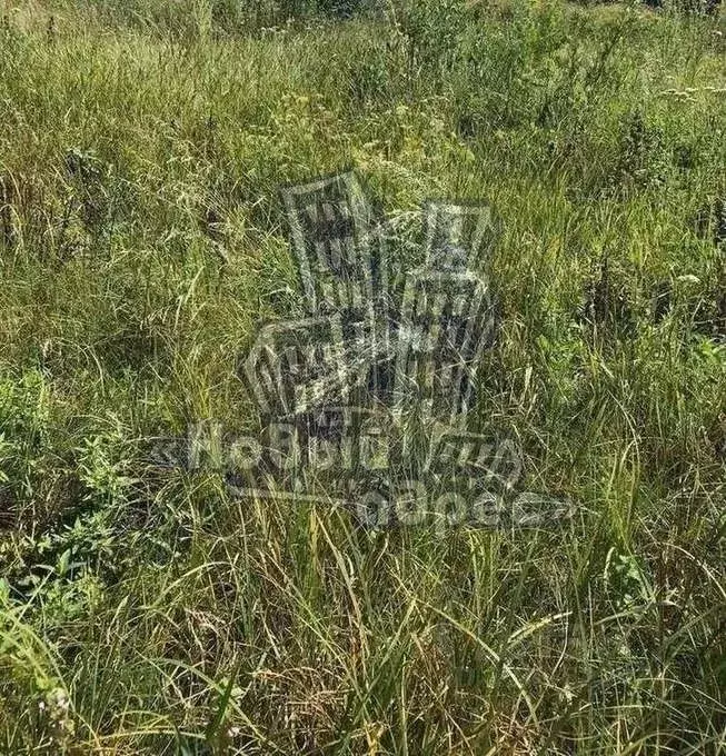 Участок в Воронежская область, Семилукский район, Губаревское с/пос, ... - Фото 2