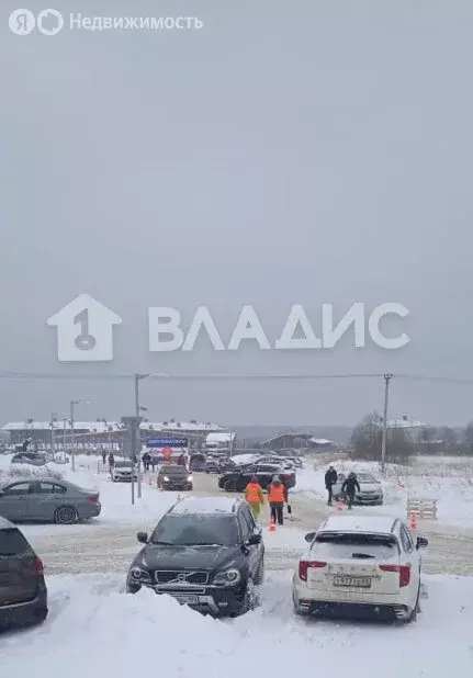 Участок в Ярославская область, Переславль-Залесский муниципальный ... - Фото 1