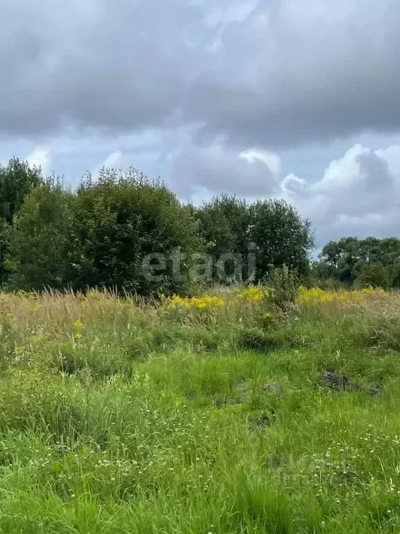 Участок в Ярославская область, Ярославль пос. Мологино,  (7.0 сот.) - Фото 0