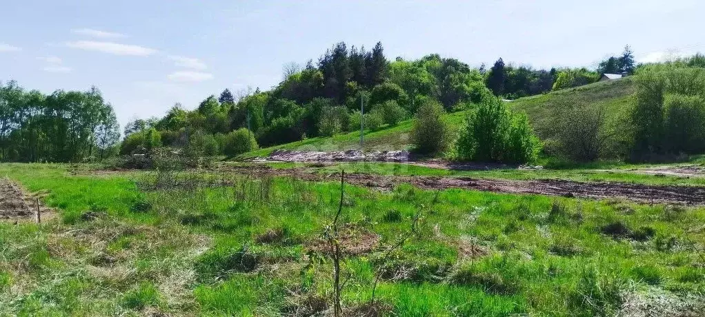 Участок в Воронежская область, Рамонский район, Березовское с/пос, д. ... - Фото 1
