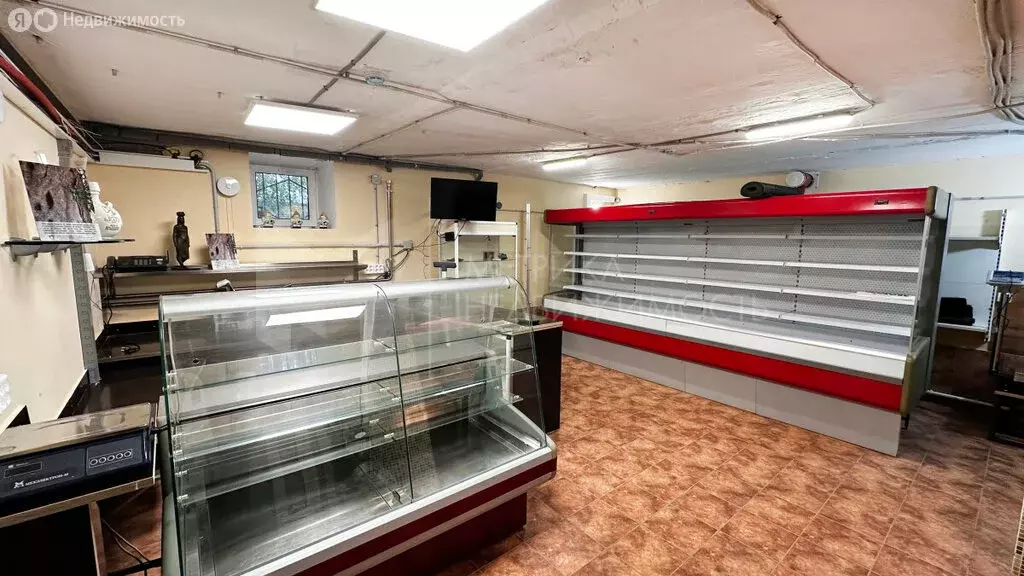 Помещение свободного назначения (225.4 м) - Фото 2