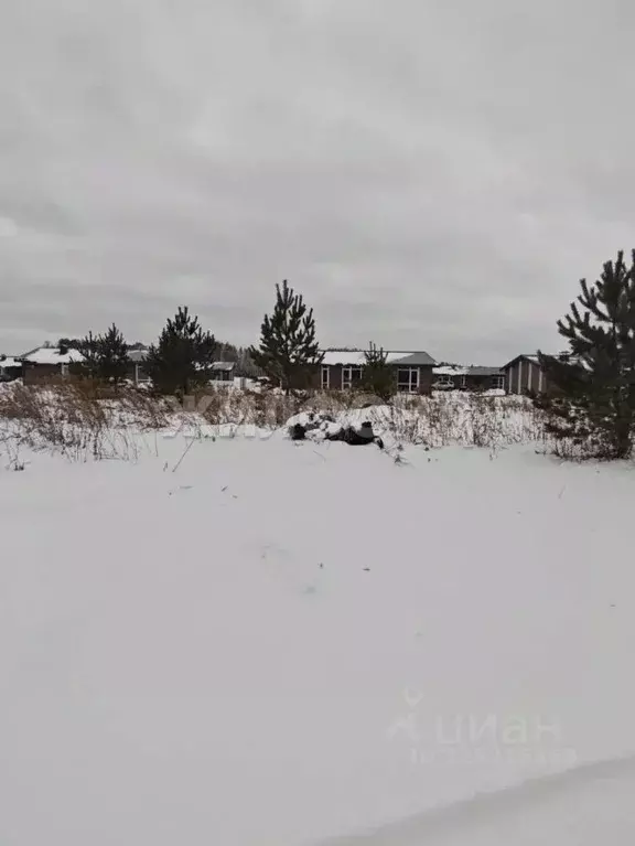 Участок в Новосибирская область, Мошковский район, пос. Октябрьский ... - Фото 1