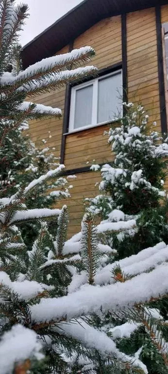 Дом в Омская область, Омск ул. Палисандровая, 15 (143 м) - Фото 1