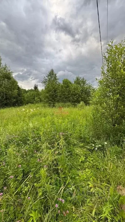 Участок в Московская область, Сергиево-Посадский городской округ, ... - Фото 1