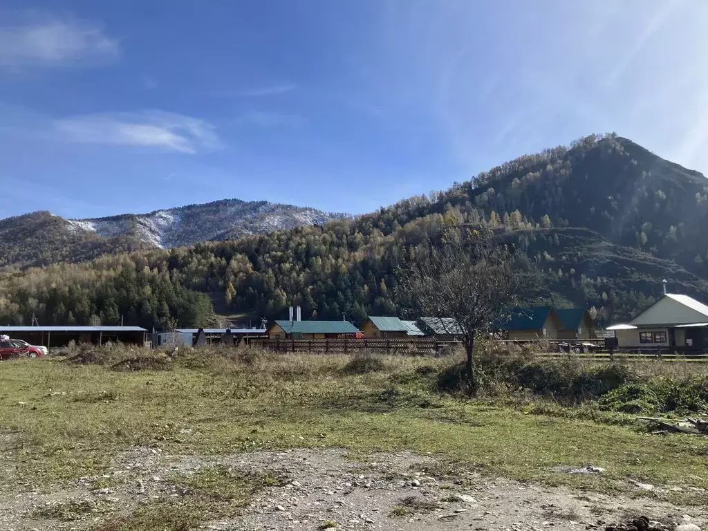Участок в Алтай, Чемальский район, Элекмонарское с/пос, с. Элекмонар  ... - Фото 1