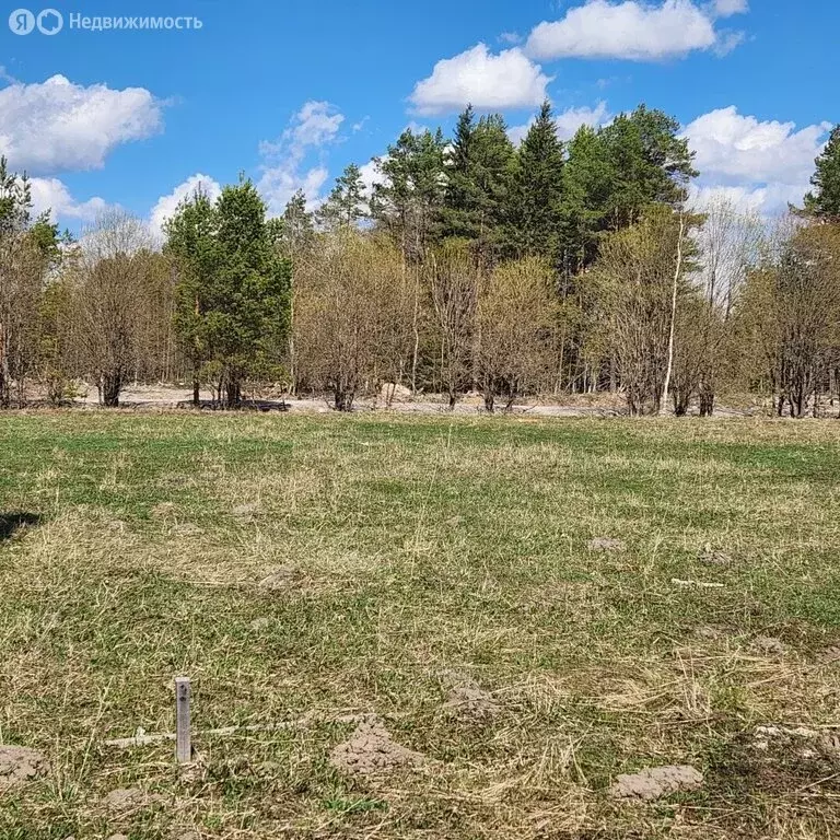 Участок в село Городище, Северная улица (14 м) - Фото 1