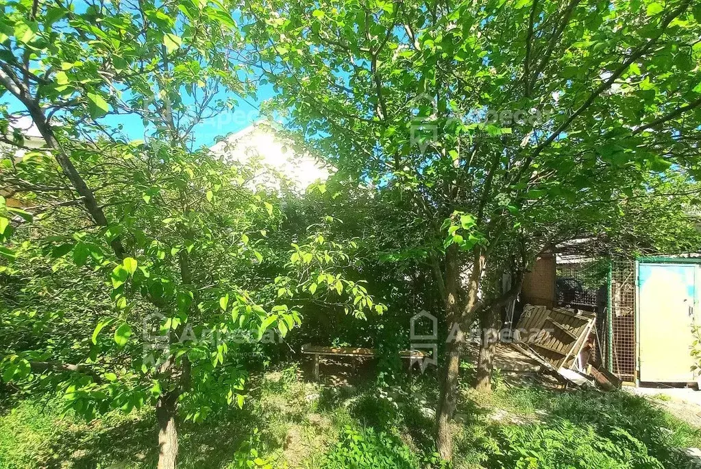 Дом в Волгоградская область, Волгоград Заволжская ул. (80 м) - Фото 1