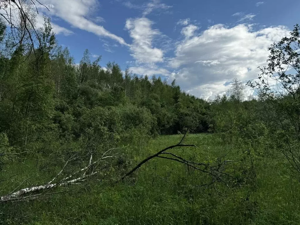 Участок в Московская область, городской округ Клин, деревня Минино ... - Фото 0