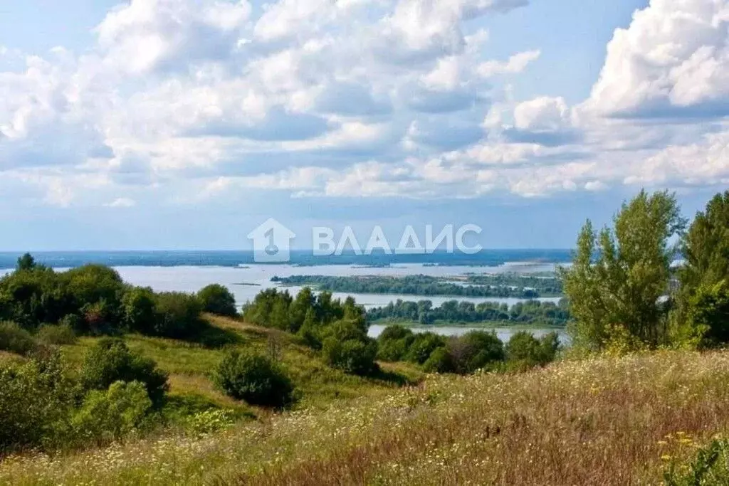 участок в нижегородская область, воротынский городской округ, с. . - Фото 1