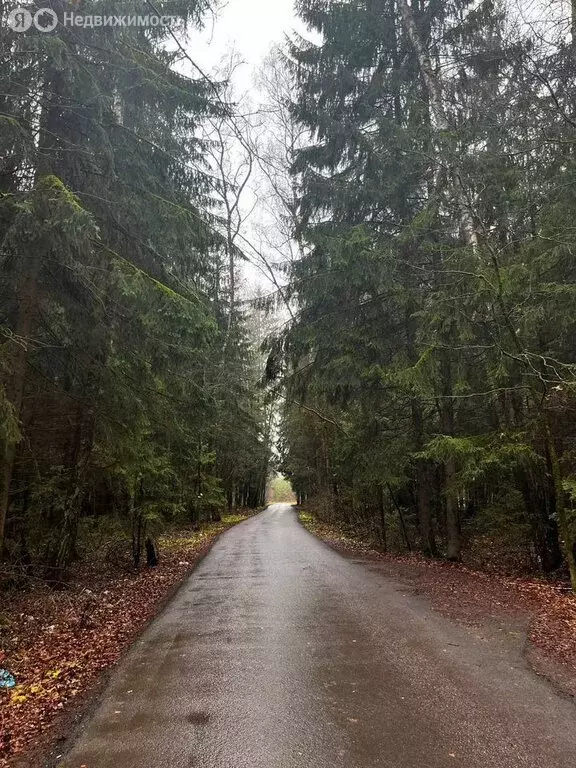 Участок в Московская область, муниципальный округ Чехов, деревня ... - Фото 1