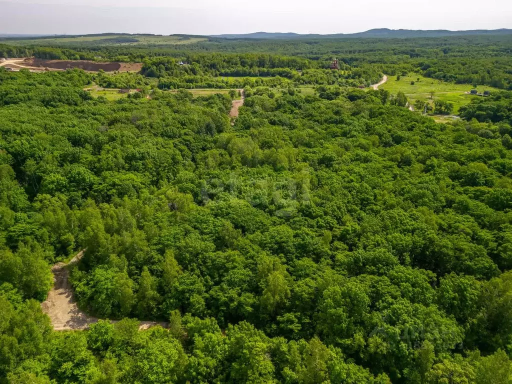 Участок в Хабаровский край, Хабаровский район, с. Краснореченское  ... - Фото 0