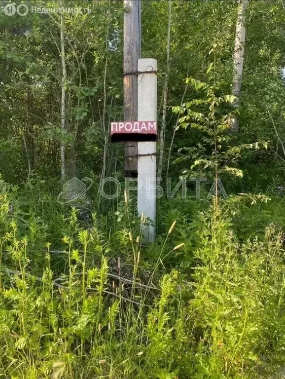 Участок в Нижнетавдинский район, СНТ Сочинские, 27-я линия, 511 (9 м) - Фото 1