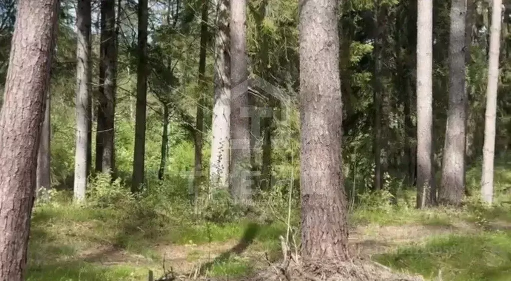 Участок в Ленинградская область, Выборгский район, Первомайское с/пос, ... - Фото 2