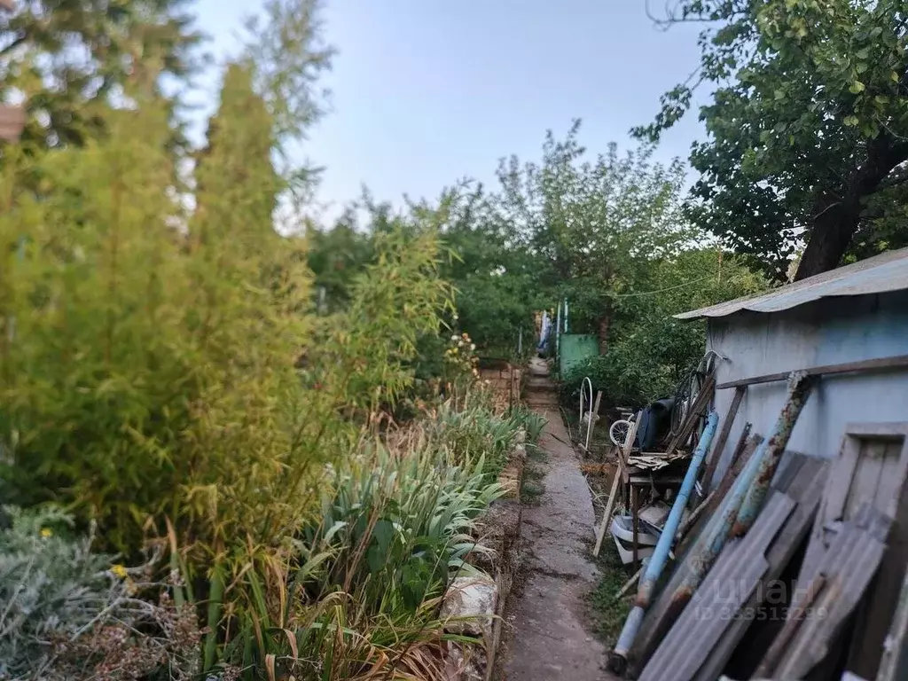Участок в Севастополь СНТ Сосновая Роща ТСН, 85 (5.3 сот.) - Фото 1