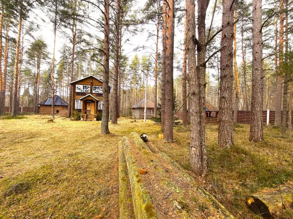 Дом в Ленинградская область, Приозерский район, Громовское с/пос, пос. ... - Фото 2