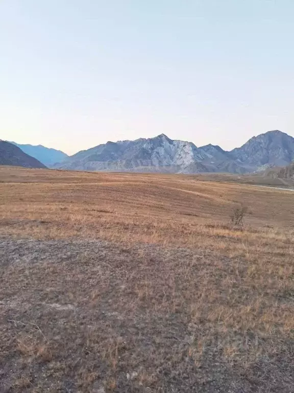 Участок в Алтай, Онгудайский район, с. Инегень Центральная ул., 15 ... - Фото 1