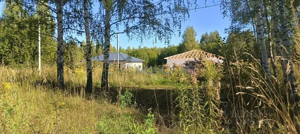 Участок в Нижегородская область, Нижний Новгород с. Елховка, ул. ... - Фото 2