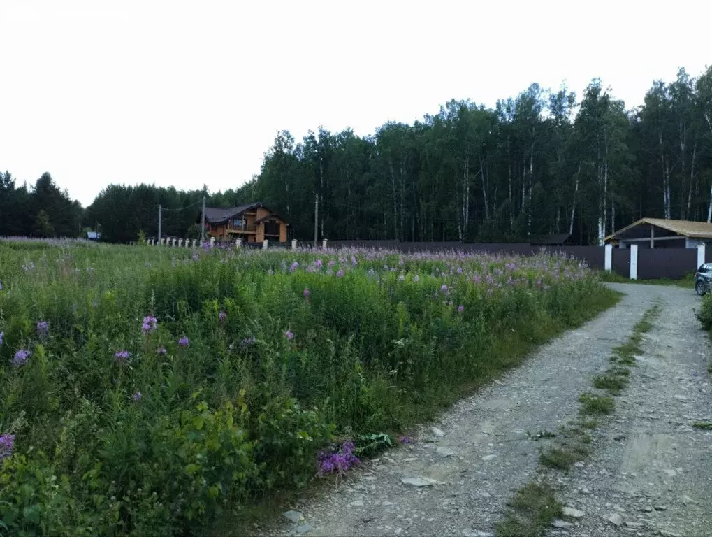 Участок в Свердловская область, Белоярский муниципальный округ, ... - Фото 1