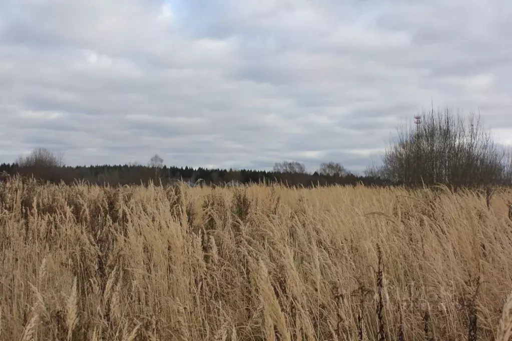 Участок в Москва д. Кузнецово, ул. Березовая (13.66 сот.) - Фото 1