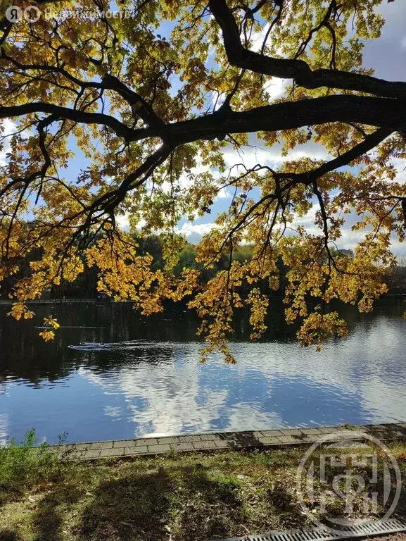 Участок в Оредежское сельское поселение, деревня Поддубье, Озёрная ... - Фото 1