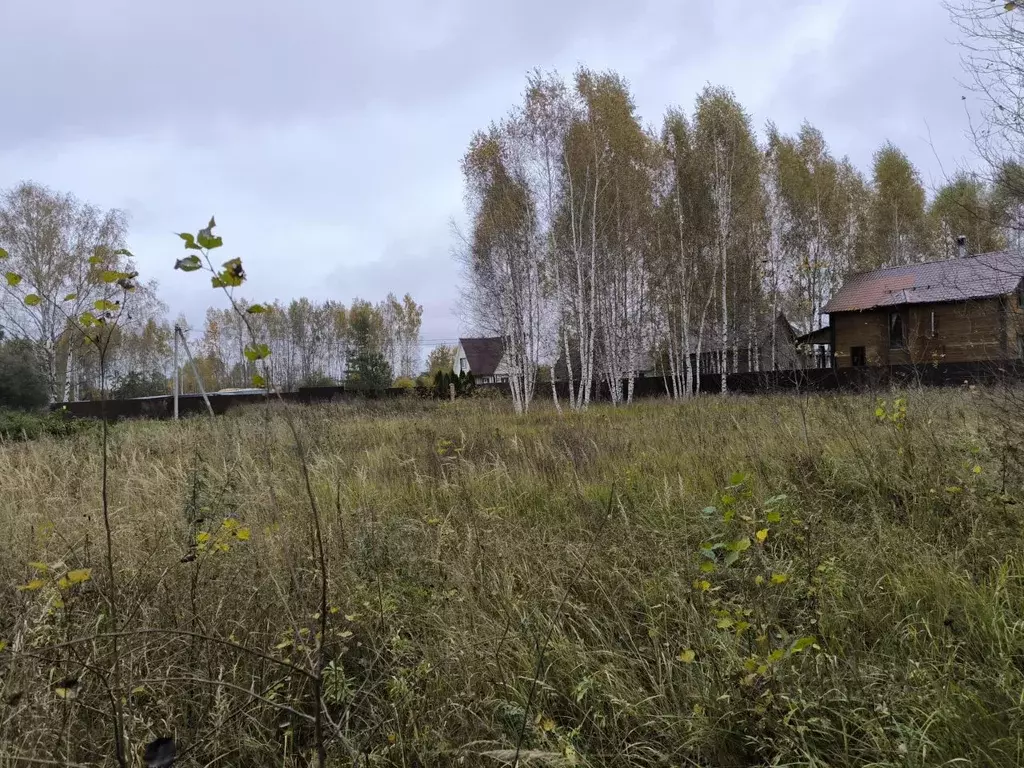 Участок в Московская область, Раменский городской округ, с. Речицы ул. ... - Фото 0