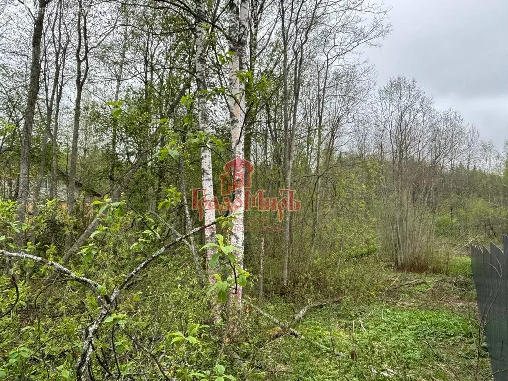 Участок в Сергиево-Посадский городской округ, СНТ Красная Сторожка (8 ... - Фото 1