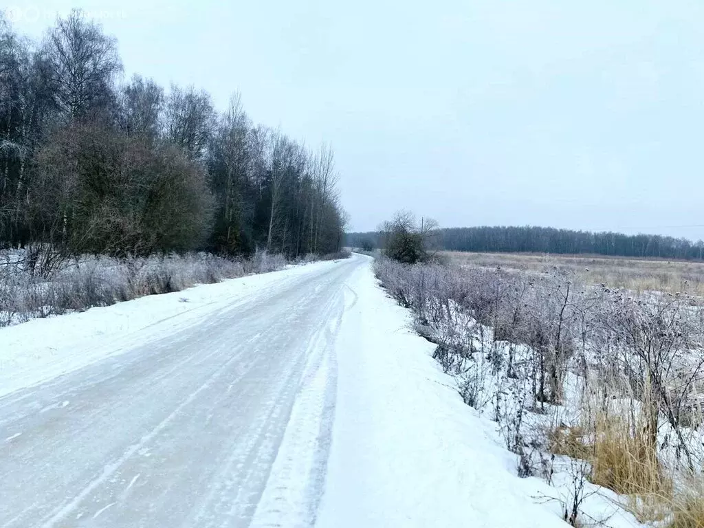 Участок в Владимирская область, Собинский муниципальный округ, село ... - Фото 1