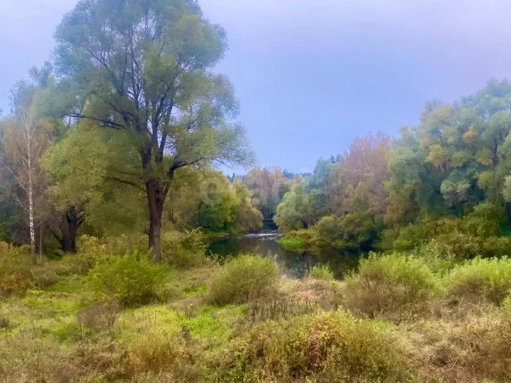Участок в Псковская область, Порховский муниципальный округ, д. ... - Фото 2