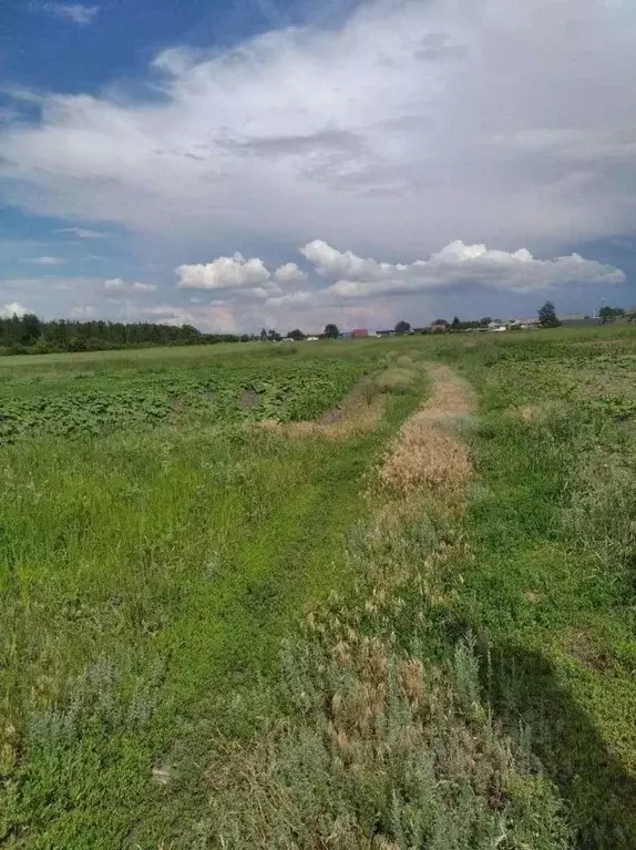 Участок в Белгородская область, Старооскольский городской округ, с. ... - Фото 1