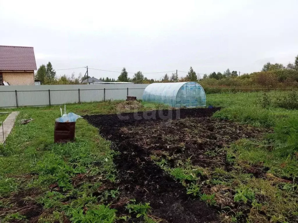 Участок в Тюменская область, Тюмень Большое Царево-2 СНТ, ул. Чистая ... - Фото 1