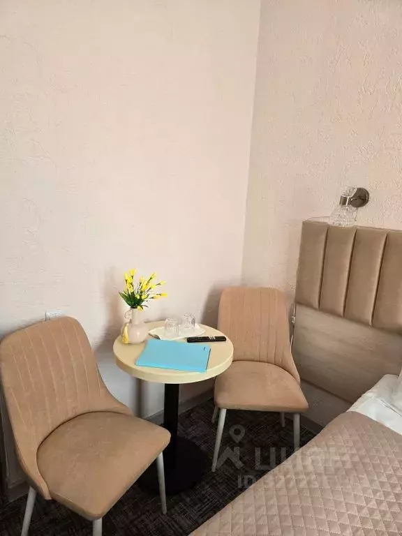 Комната Санкт-Петербург просп. Большой Петроградской стороны, 18 - Фото 2