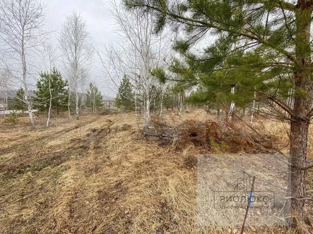 Участок в Челябинская область, Сосновский муниципальный округ, Ясное ... - Фото 1