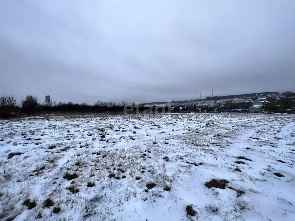 Участок в Воронежская область, Рамонский район, с. Русская Гвоздевка ... - Фото 0