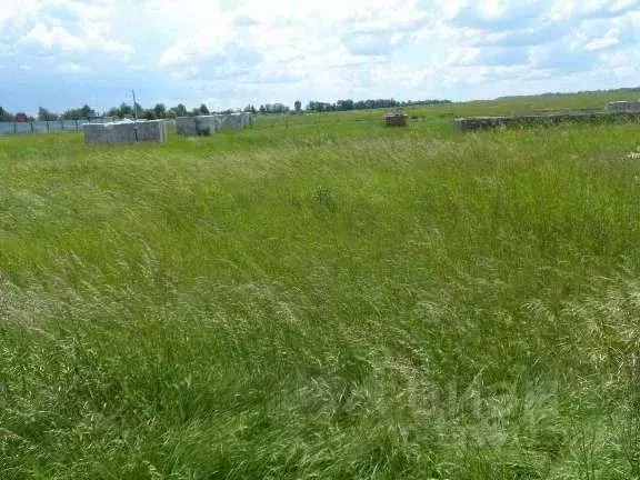 Участок в Курская область, Курский район, Новопоселеновский сельсовет, ... - Фото 0