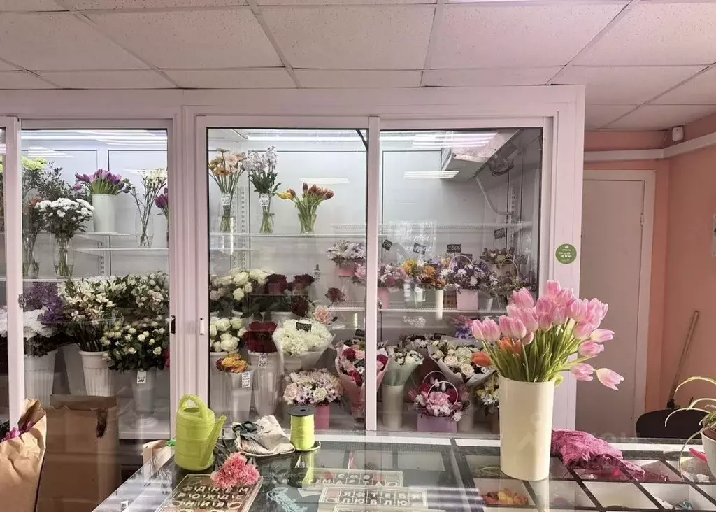 Помещение свободного назначения в Нижегородская область, Нижний ... - Фото 0