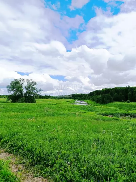 Участок в Ивановская область, Ильинское городское поселение, д. ... - Фото 1