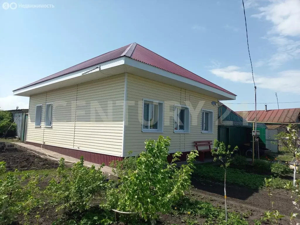 Дом в деревня Степная Репьевка, Центральная улица, 57 (65 м) - Фото 2