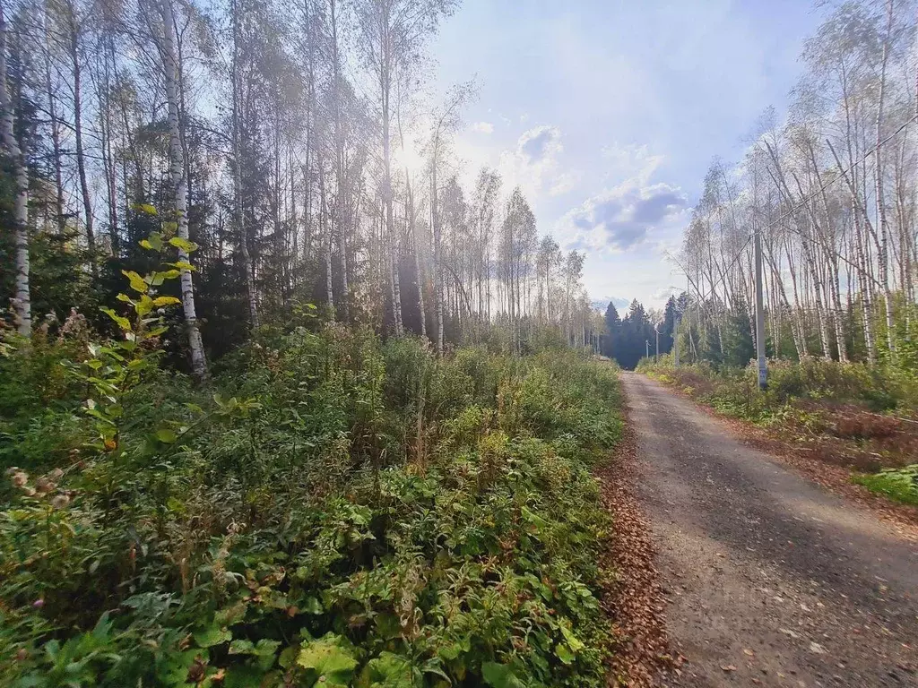 Участок, 10 сот., сельхоз (снт или днп) - Фото 1