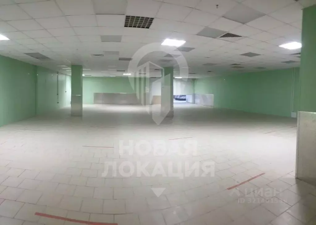 Торговая площадь в Омская область, Омск ул. Фрунзе, 1к4 (500 м) - Фото 2