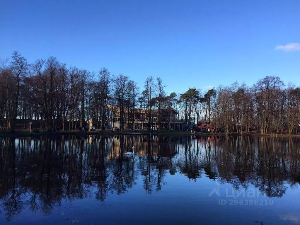 Комната Калининградская область, Зеленоградск ул. Победы, 8 (10.0 м) - Фото 0